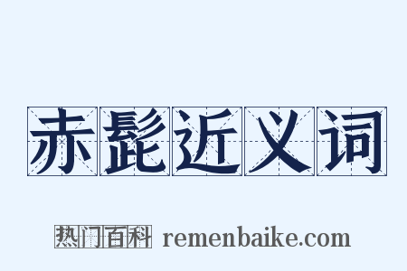 赤髭近义词是什么意思的图片